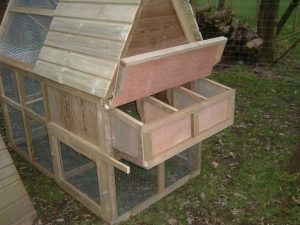 chicken house enclosed run rear view